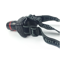 pim đội đầu câu cá